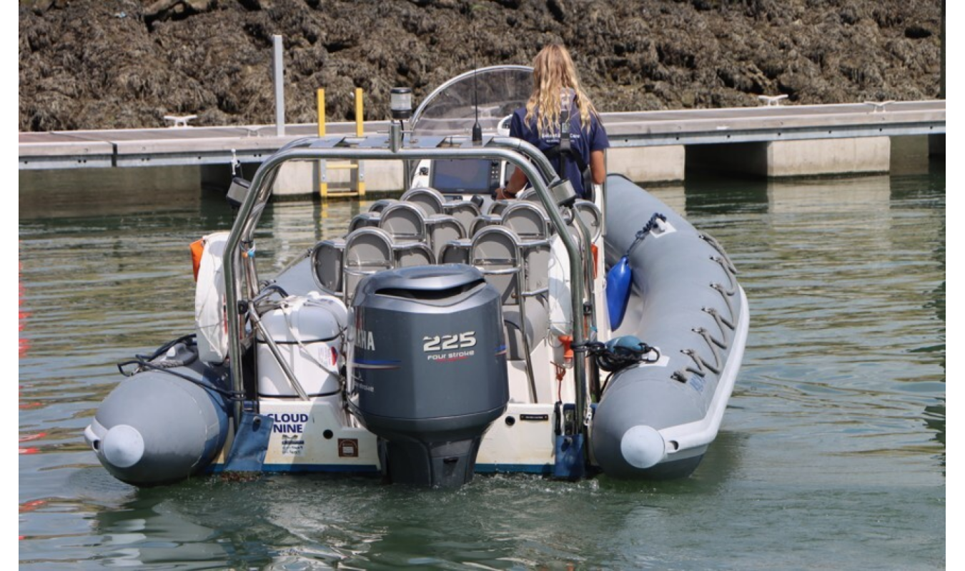 Cloud Nine - 6.8 Ribcraft