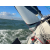 Bavaria 38 Match - Skippered Yacht Charter - SBC
